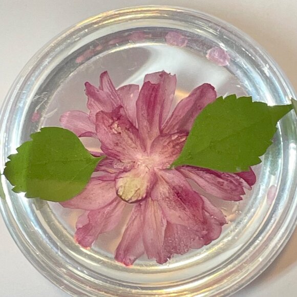 Pressed Pink Flower Paperweight by W. Rolfe Lucite Sphere Encasing Real Flower & - Picture 7 of 9